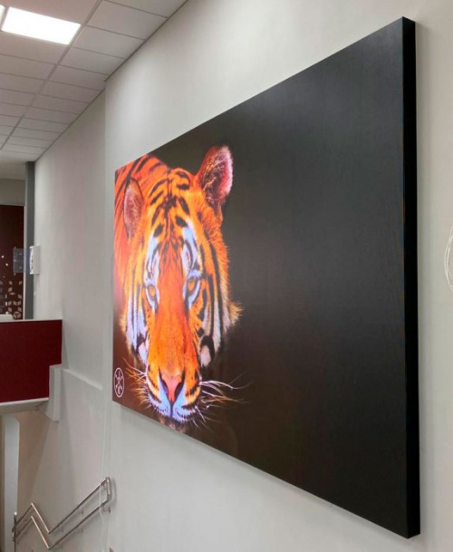 LED экран для Дворца творчества